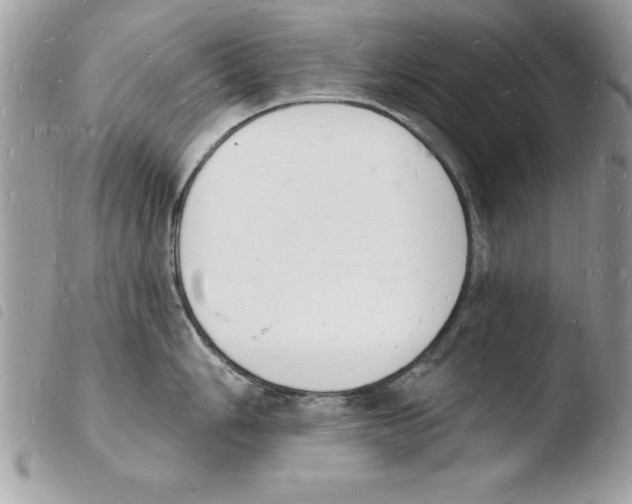 X0000103971006200810171920
