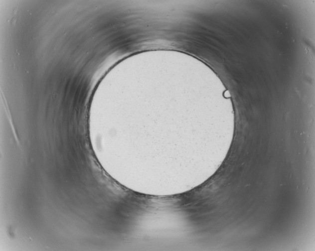 X0000103971008200810171920