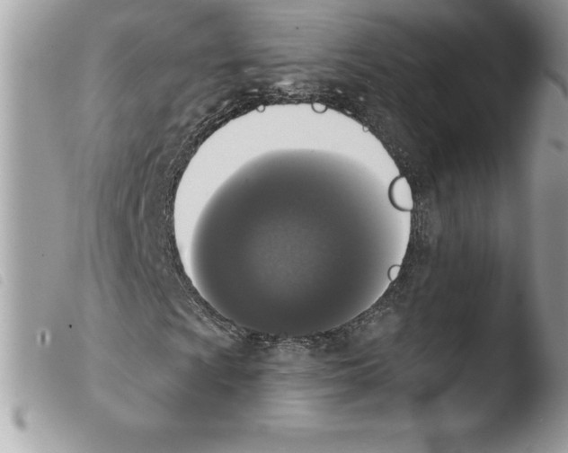 X0000103971009200810171919