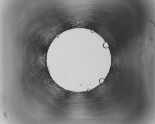 X0000103971010200810171919