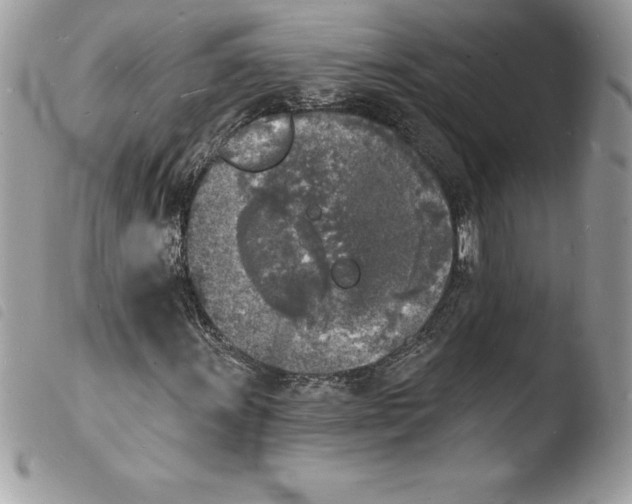 X0000103971011200810171919