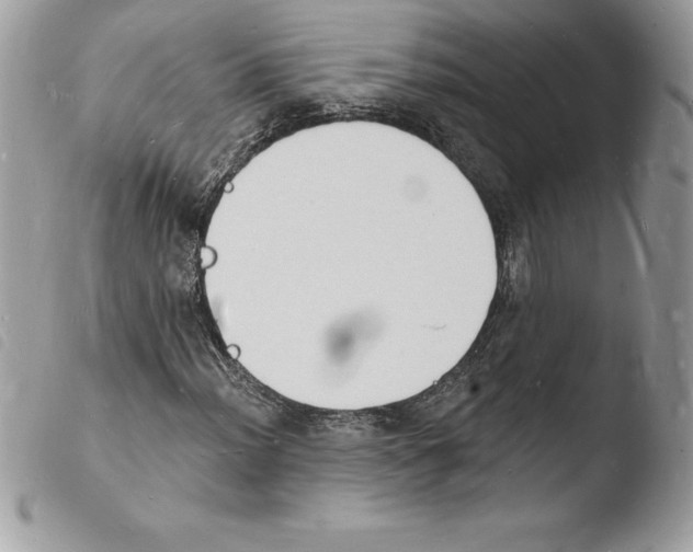 X0000103971012200810171919