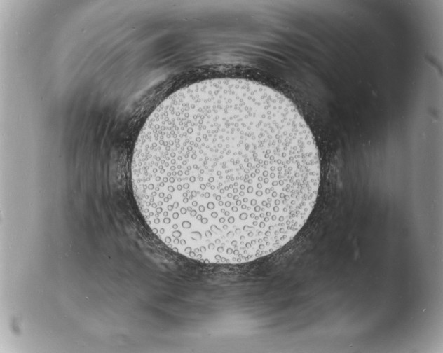 X0000103971014200810171919