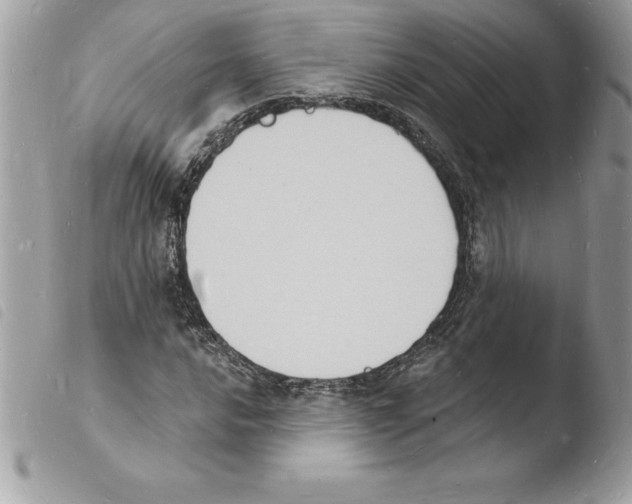 X0000103971016200810171919