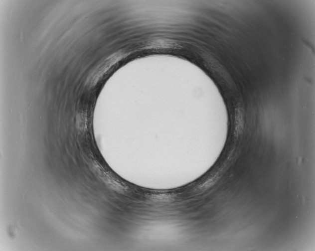 X0000103971017200810171919