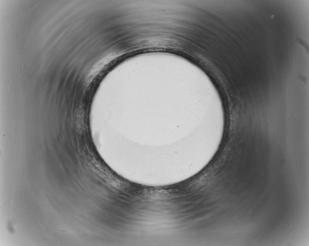 X0000103971019200810171919