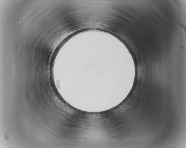 X0000103971020200810171919