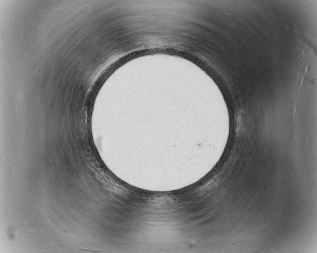 X0000103971021200810171919
