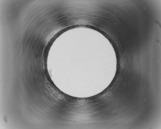 X0000103971022200810171919