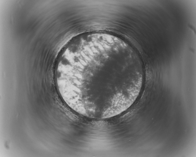 X0000103971023200810171919