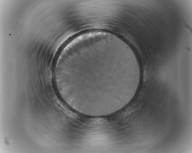X0000103971024200810171919