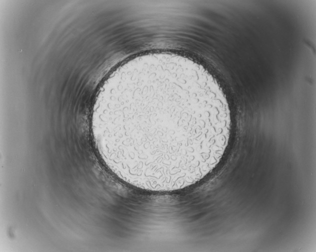 X0000103971025200810171920