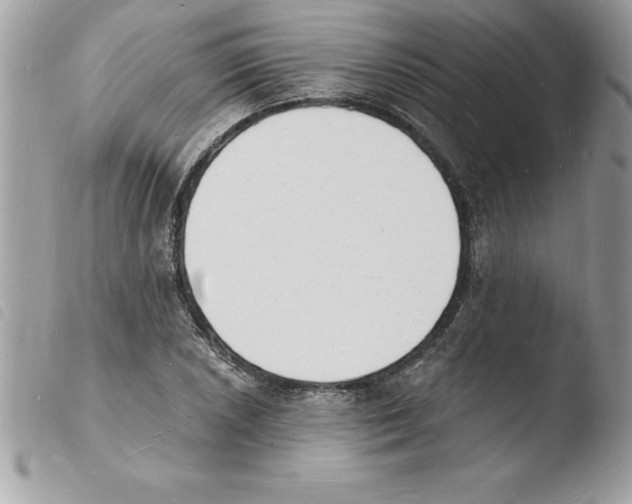 X0000103971026200810171920