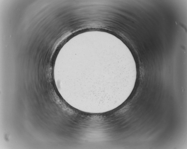 X0000103971029200810171920