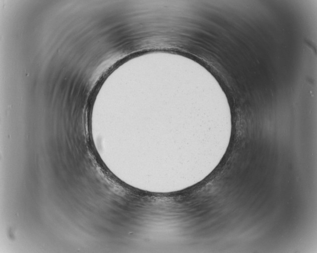X0000103971030200810171920