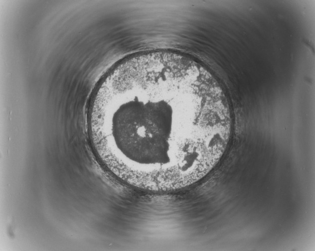 X0000103971031200810171920