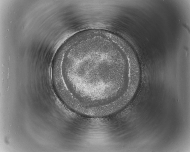 X0000103971032200810171920