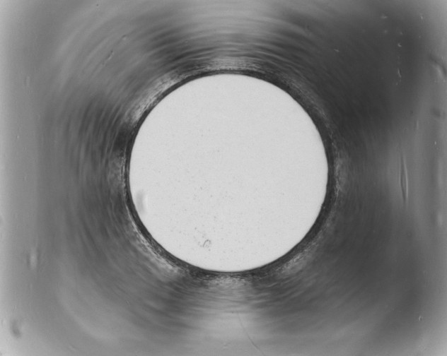 X0000103971033200810171920