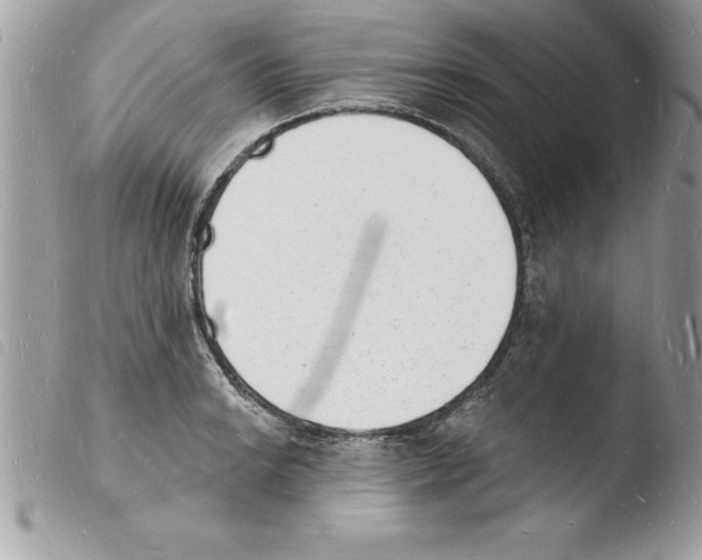 X0000103971038200810171920