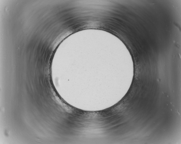 X0000103971042200810171920