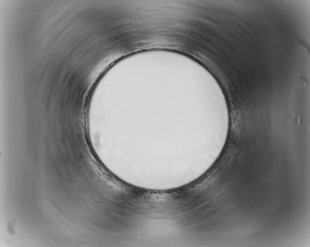 X0000103971043200810171920