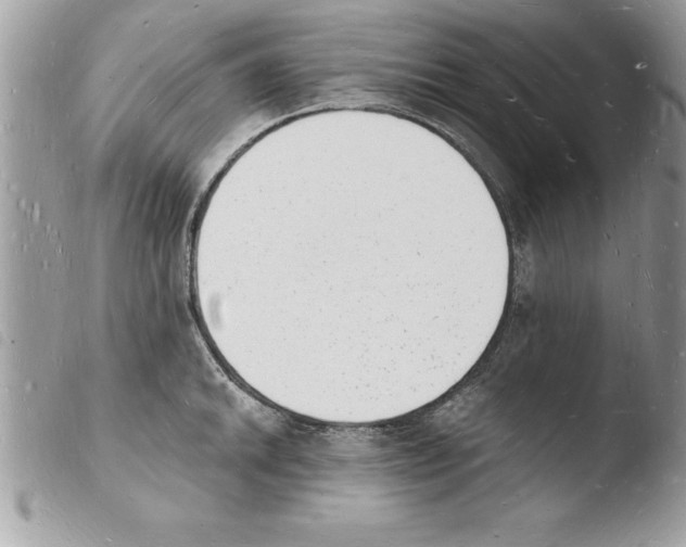 X0000103971046200810171920
