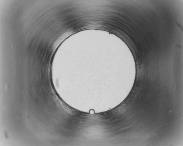 X0000103971050200810171920