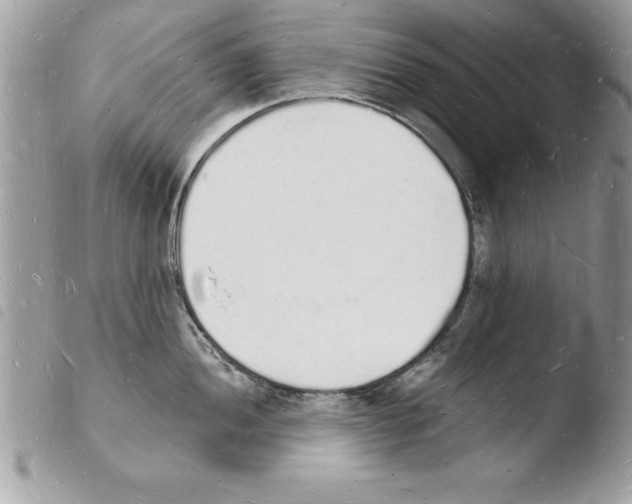 X0000103971052200810171920