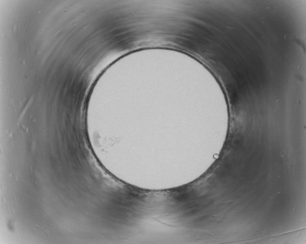 X0000103971053200810171920