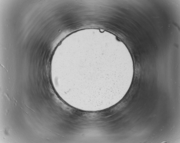 X0000103971054200810171920