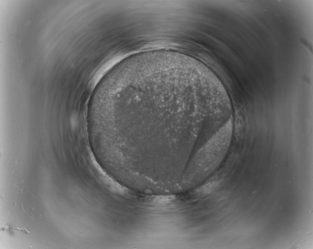X0000103971055200810171920