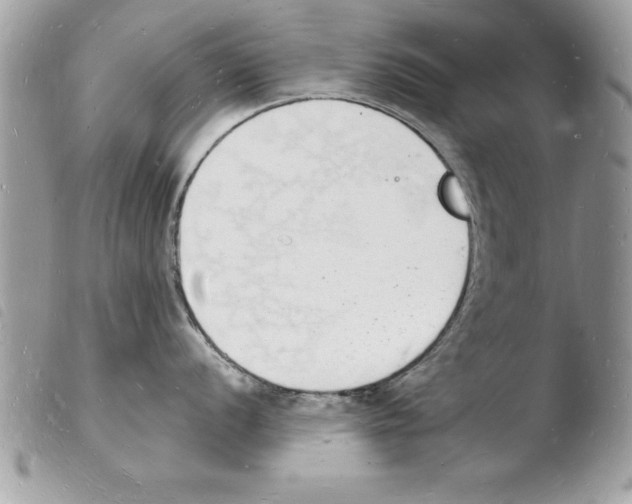 X0000103971056200810171920