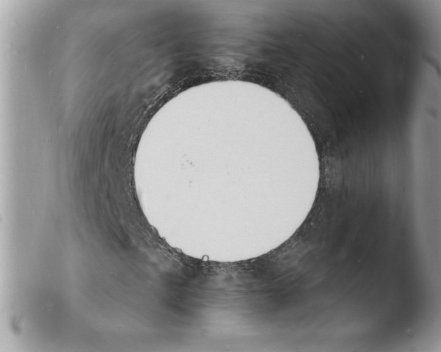 X0000103971057200810171919