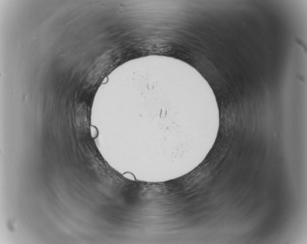 X0000103971058200810171919