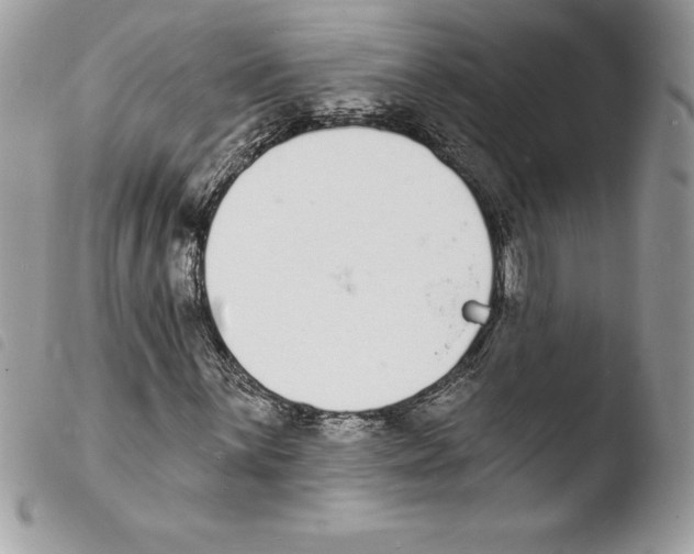 X0000103971059200810171919