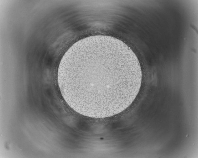 X0000103971060200810171919