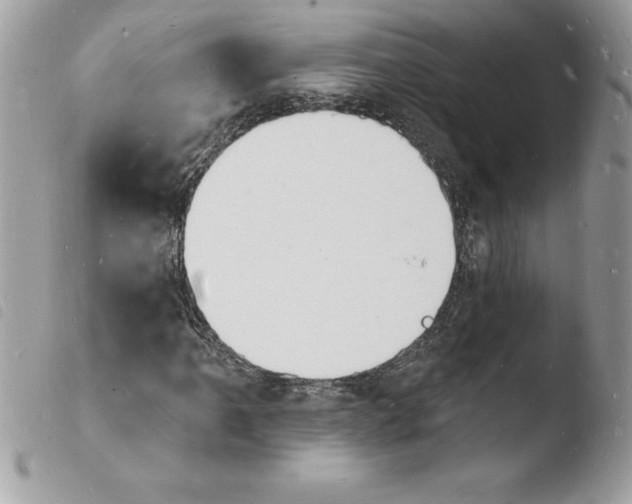 X0000103971061200810171919