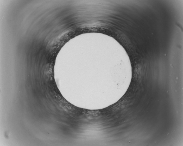 X0000103971062200810171919