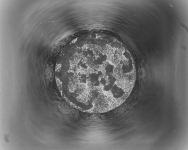 X0000103971063200810171919
