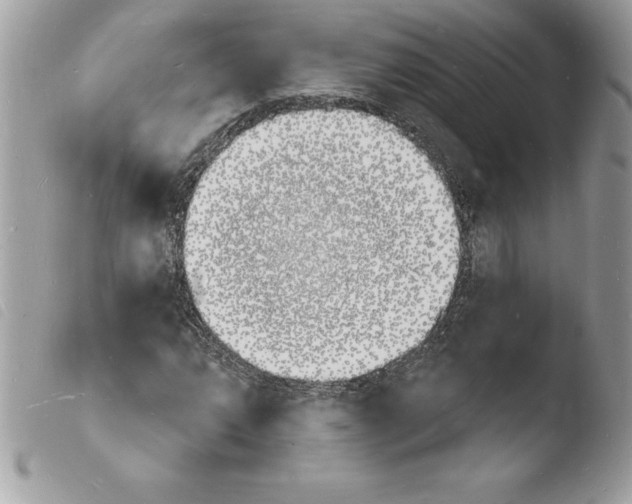 X0000103971064200810171919