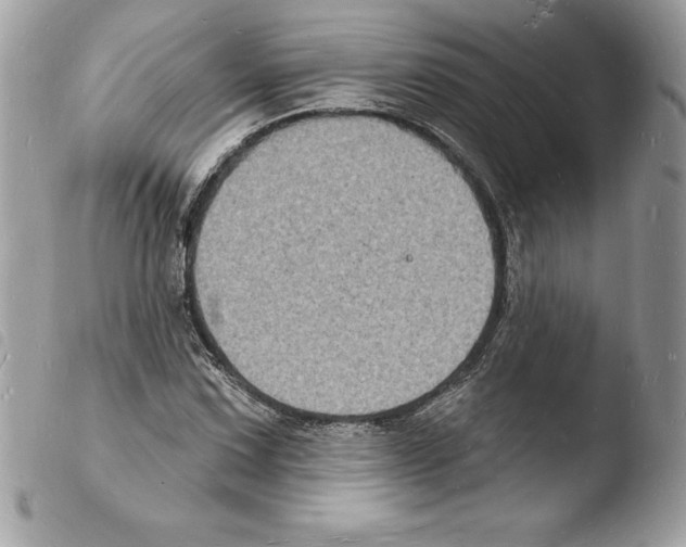 X0000103971067200810171919