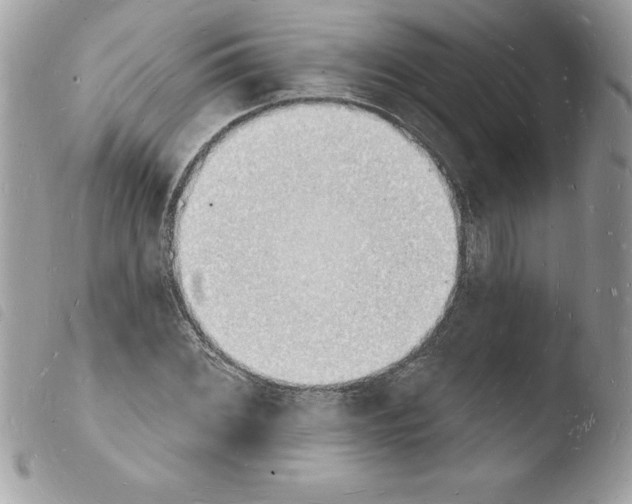 X0000103971068200810171919