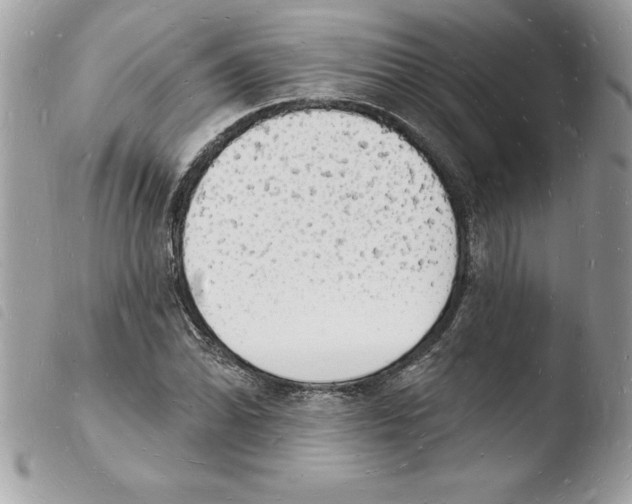 X0000103971070200810171919