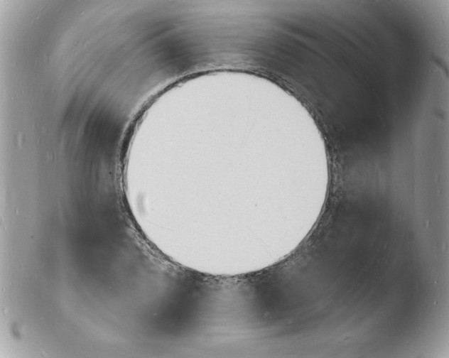 X0000103971072200810171919