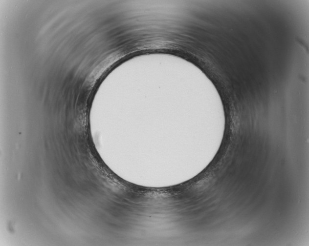 X0000103971073200810171919