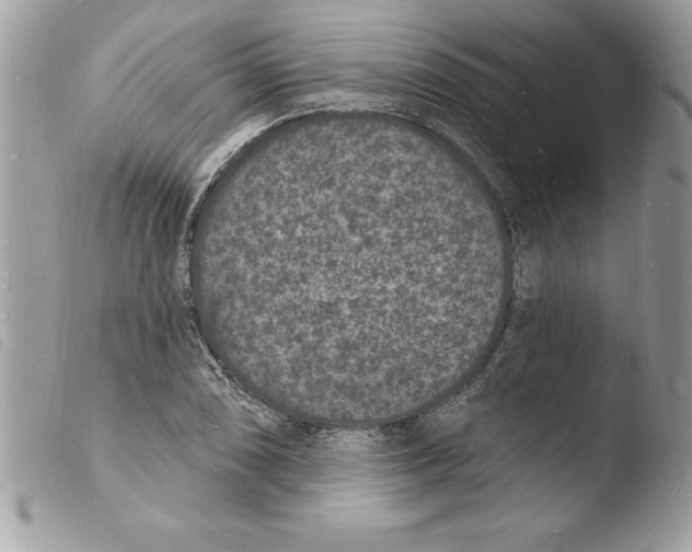 X0000103971074200810171919