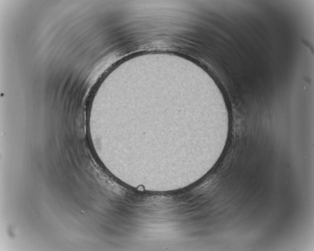 X0000103971075200810171919