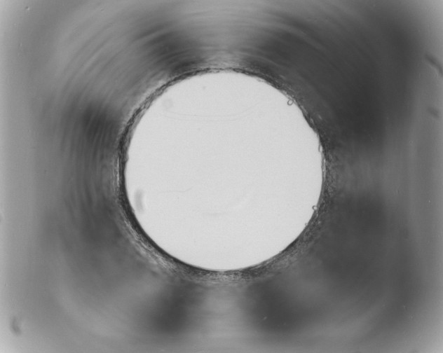 X0000103971076200810171919