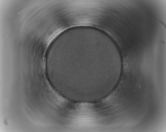 X0000103971077200810171919