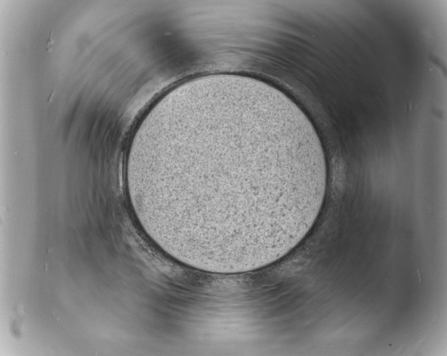 X0000103971078200810171919